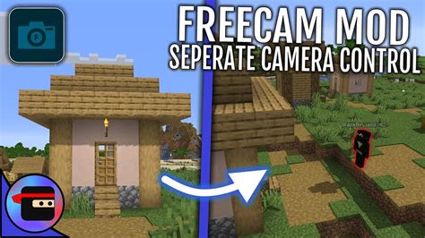 freecam mod.
